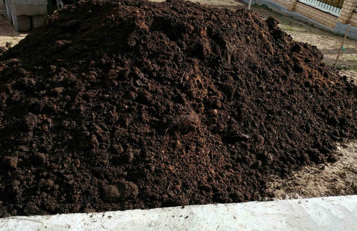 <span style="font-weight: bold;"><span> </span>ПЕРЕГНОЙ </span>