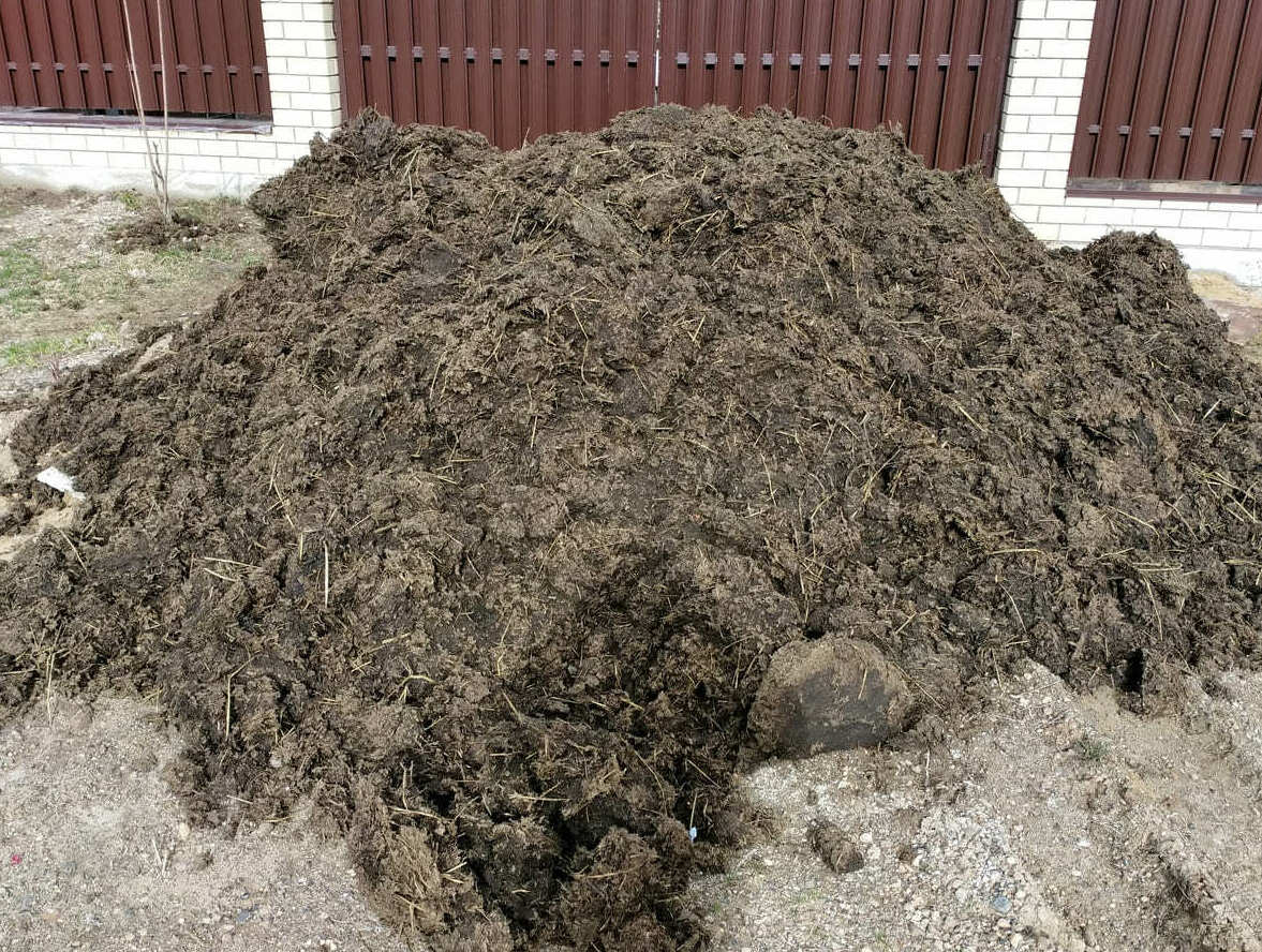 <span style="font-weight: bold;">НАВОЗ КОРОВИЙ (ГОВЯЖИЙ) </span>